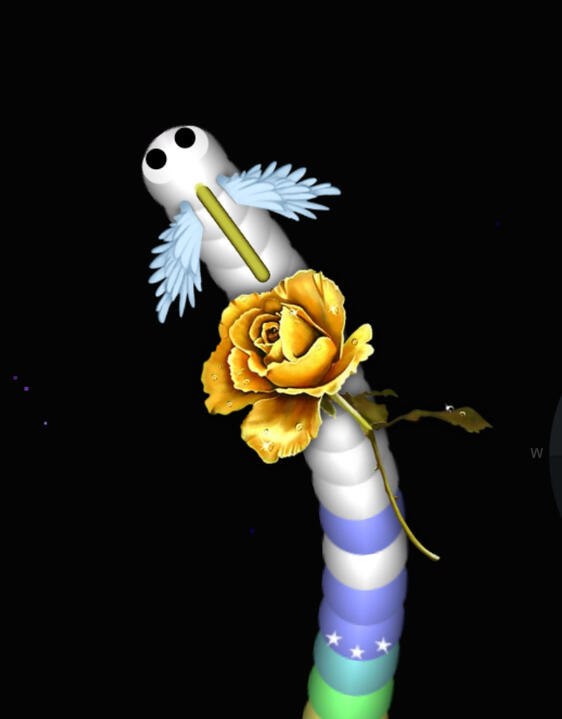 Midas-Rose Tag