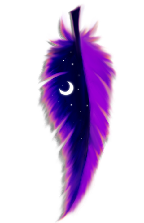 Night Feather tag