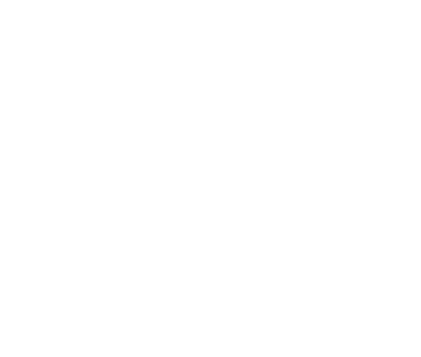 Watermelon Logo Tag